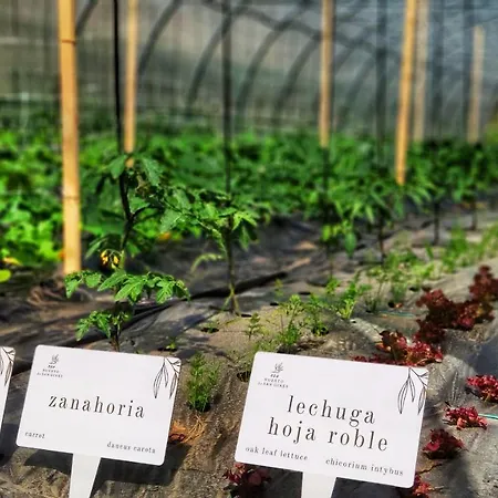 Augusta Eco Wellness 4 Superior 4* 桑亨霍