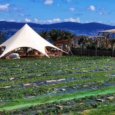 Augusta Eco Wellness 4 Superior 4*