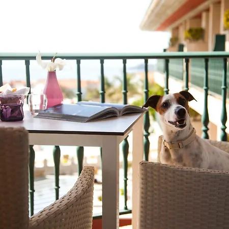 Augusta Eco Wellness 4 Superior Hotel 4*