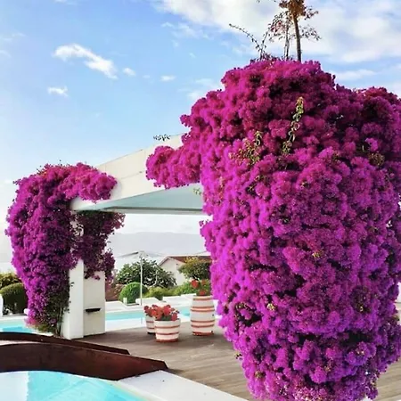 Augusta Eco Wellness 4*
