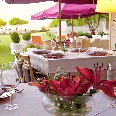 Augusta Eco Wellness 4 Superior