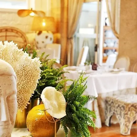 Augusta Eco Wellness 4 Superior