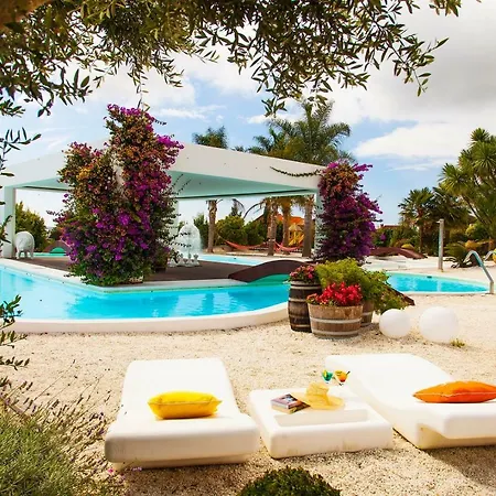 Augusta Eco Wellness 4 Superior 4*