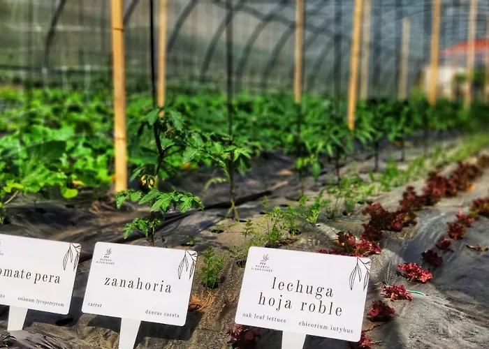 Augusta Eco Wellness 4 Superior 4* Sanxenxo